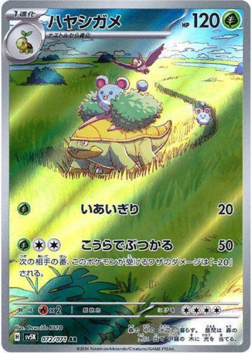 Grotle Art Rare - Wild Force JP