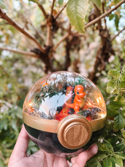 Pokeball Terrarium