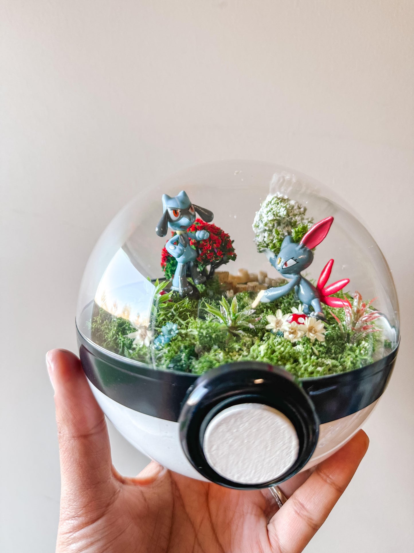 Pokeball Terrarium