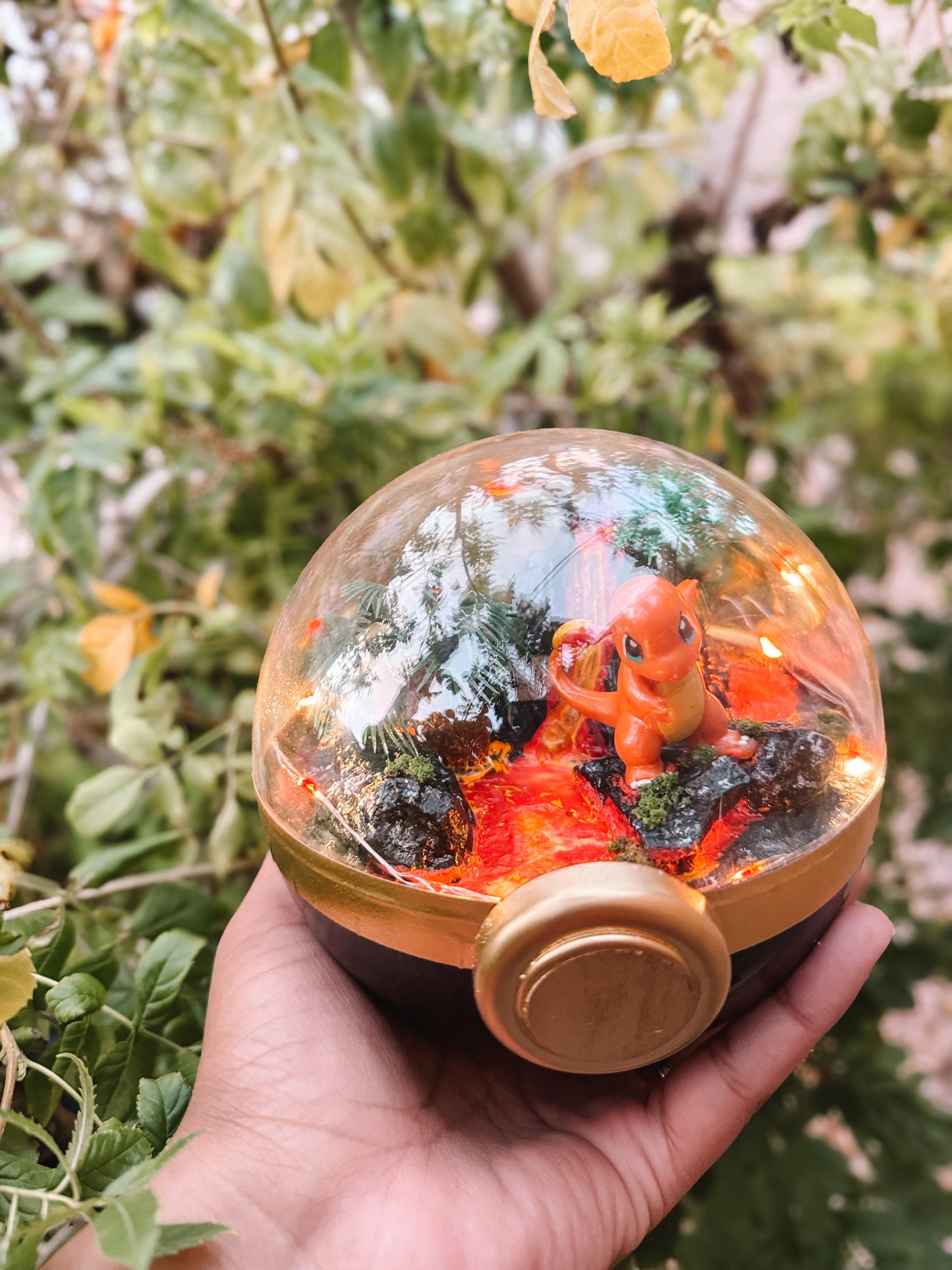 Pokeball Terrarium